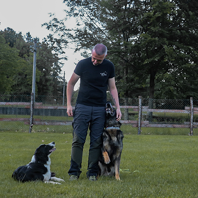 proprietario con i suoi due cani durante l’addestramento in provincia del VCO